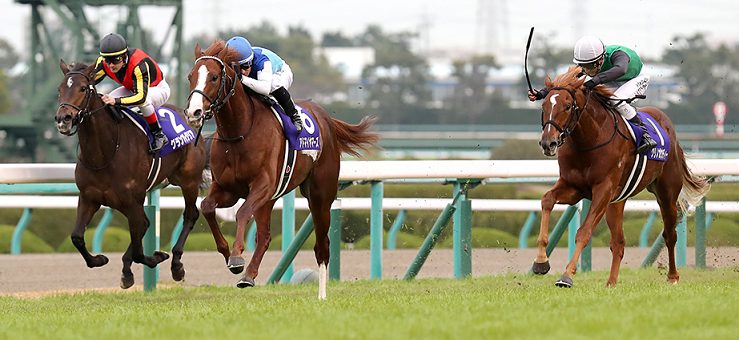 朝日杯fs フューチュリティステークス G1 2019 予想と勝負馬券 結果